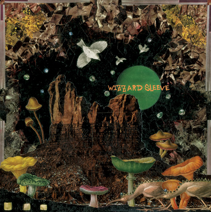 044-wizzardsleevelpsmall