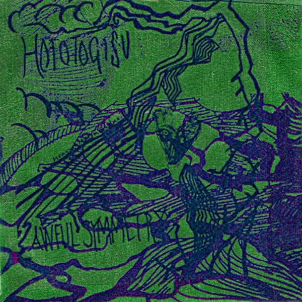 hototogisu-awfulsymmetrycover