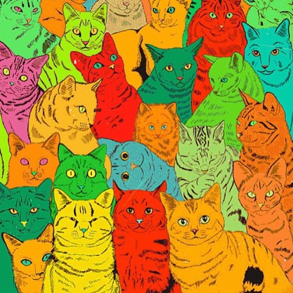 11378186_807666116008219_523893600_n