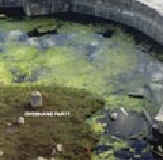 r-1035965-1186657715-jpeg